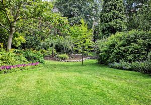 Optimiser l'expérience du jardin à Saint-Leger-sous-Cholet